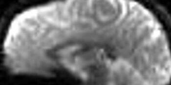 Memory Systems Lab Brain Icon