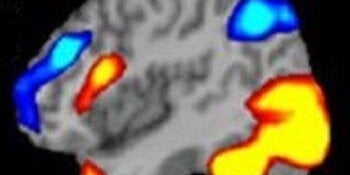 SCoPE Lab Brain Icon