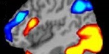 SCoPE Lab Brain Icon