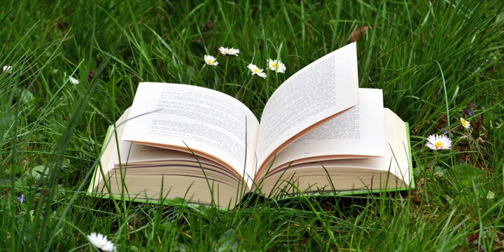 Book open in a grass field with white flowers