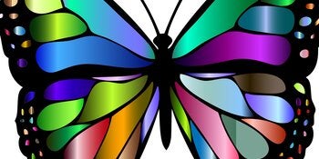 Ecologies of Liberation Lab