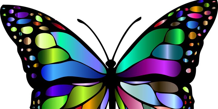 Ecologies of Liberation Lab