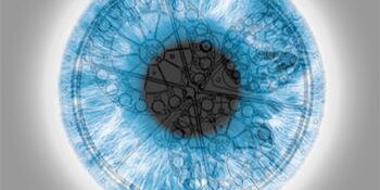 Vision Lab