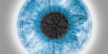 Vision Lab