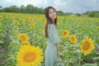 Profile picture for Siqi He