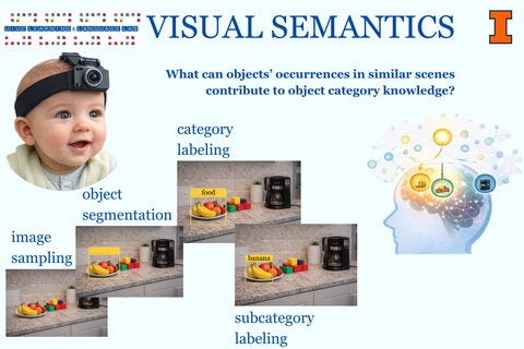 Image “Visual Semantics”; asks how objects’ occurrences in similar scenes contribute to object category knowledge. An infant wearing a head-mounted camera illustrates visual input. A sequence of kitchen-counter images shows object segmentation of a fruit plate from the background, with toys and a coffee maker present. The segmented fruit is labeled “food” to illustrate category labeling, and the bananas “banana” to illustrate subcategory labeling. An illustration for the emergence of conceptual knowledge.