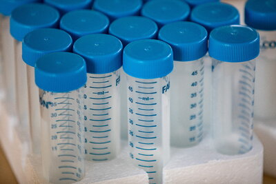 close up picture of blue capped saliva collection test tubes in a styrofoam rack