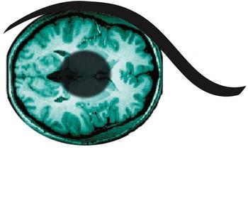 Attention and Perception Lab