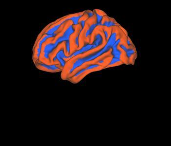3D image of a brain with the exterior points colored neon red and the more interior folds colored neon blue
