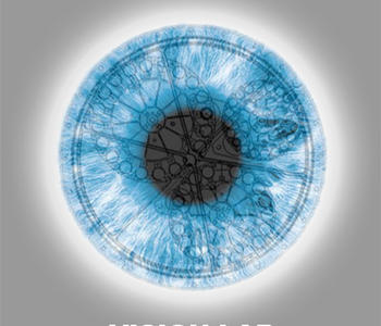Vision Lab