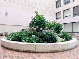 New planter at Psychology Building's atrium