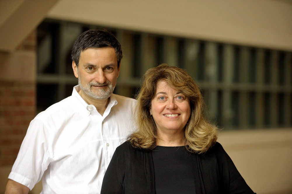 Gabriele Gratton and Monica Fabiani Gabriele Gratton and Monica Fabiani