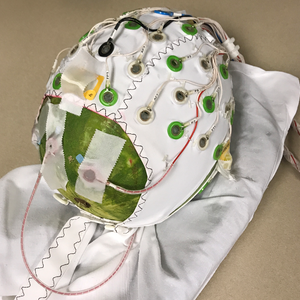 Small watermelon wearing a white EEG electrode cap with wires attached